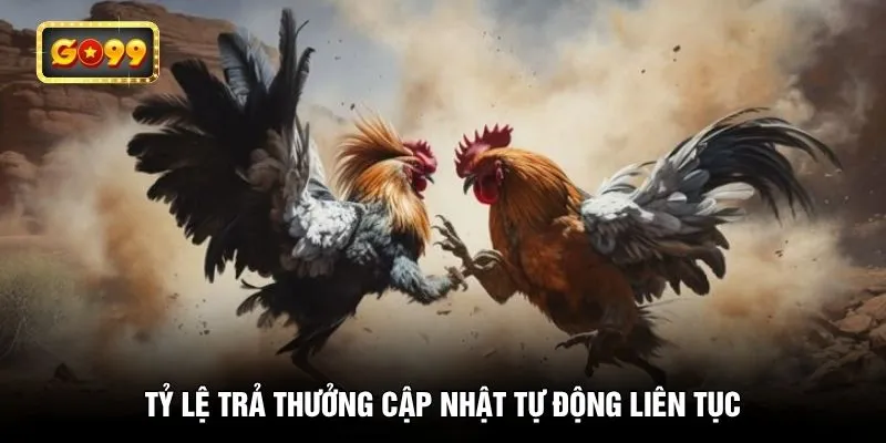 Tỷ lệ trả thưởng cập nhật tự động liên tục